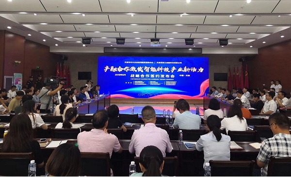 星空app登录入口-星空（中国）科技喜获千万级担保授信